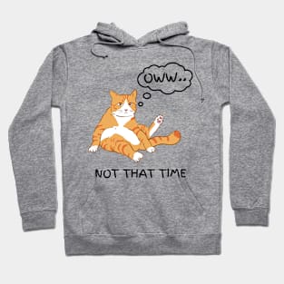 Owww....Not That Time Lazy Cat Hoodie